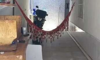 Imagem 2: Casa a venda Casa com 3 dormitórios