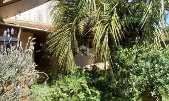 Imagem 5: Chácara de 7,15 ha em Cazuza Ferreira, São Francisco de Paula