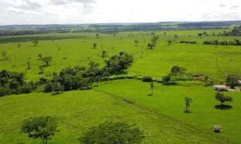 Imagem 5: Fazenda à venda de 86 alqueires em Guapo-GO