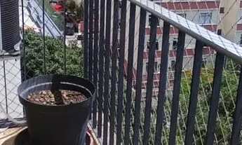 Imagem 7: Lindo Apt, 02 Qtos (1 suíte), sala e cozinhas amplas, dependência completa. 01 vaga de gar