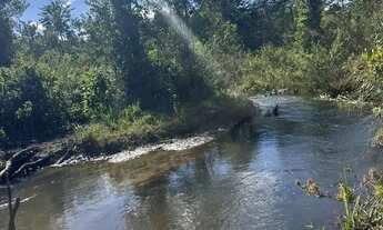 Imagem: Vendo chácara de 6.4 hectares no núcleo