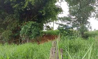 Imagem 4: Área rural 20000m2 em Ouro Verde só R$ 400 mil