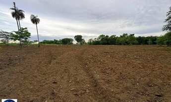 Imagem 7: Fazenda à Venda em São João dAliança (GO) 120 Alqueires