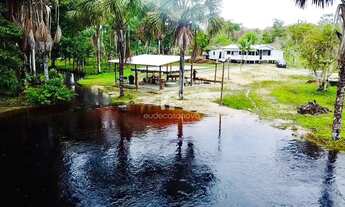 Imagem: Sítio km 45 de Novo Airão, Igarapé de