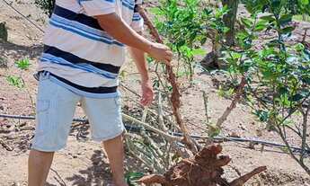 Imagem 4: Super oportunidade pegada ao centro de juquitiba 177 mil reais