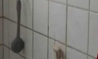 Imagem 13: VENDO CASA EM EMAÚS EM CONDOMÍNIO FECHADO PRÓXIMO DA BR 101