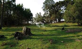 Imagem 12: Vendo chácara com 2 casa e muitas árvores frutíferas na Parada Crístal em Caxias do Sul