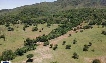 Imagem 7: Fazenda à Venda em Sanclerlândia (GO) 64 Alqueires, Terra Produtiva