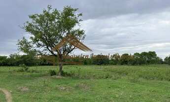 Imagem 4: Sitio com 14 alqueires na região de Porangaba/SP