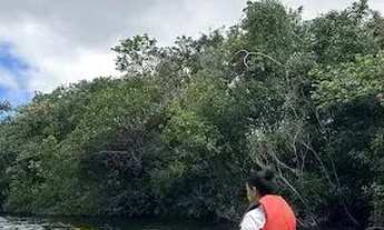 Imagem 3: Sitio em Florianópolis