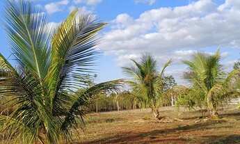 Imagem 4: Oportunidade vendo ou troco carro ou moto Chácara quem deseja investir ou morar com 1347m2