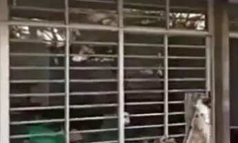 Imagem 6: Sobrado em Rua Marcelino Champagnat - Jardim da Glória - São Paulo/SP