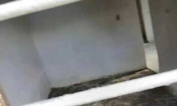 Imagem 7: Vende-se uma casa na Rua Alto do Olho d'água, Nova Descoberta