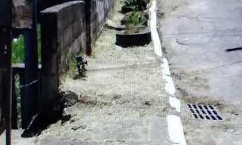 Imagem: Casa na Paulicéia em Caxias