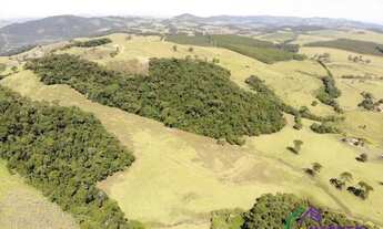 Imagem 3: SÍTIO - CENTRO - SP