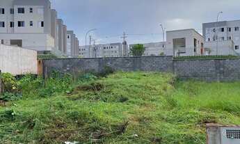 Imagem 3: Vendo terreno reserva macaúba 225 m°