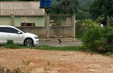 Imagem 2: Terreno 350 M2 - JARDIM IKARAY