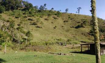 Imagem: Oportunidade ùnica, Boa pra pasto