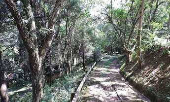 Imagem 2: Casa com 3 dormitórios, 385 m² - venda por R$ 1.200.000,00 ou aluguel por R$ 6.423,00 - Ch