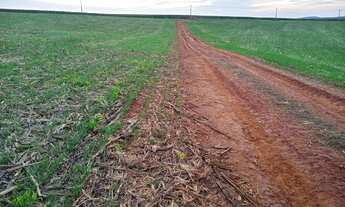 Imagem 4: Linda fazenda na agricultura em Taquarituba - SP
