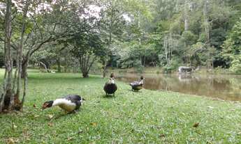 Imagem 2: Terreno em condomínio fechado à venda em Serra da Cantareira, Parque Petrópolis 4ª Secção