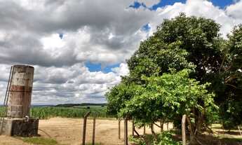 Imagem 6: Lote/Terreno para venda possui 180000 metros quadrados com 1 quarto em Centro - Cajuru - S