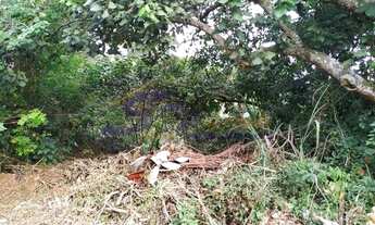 Imagem 7: Terreno para venda - Jardim Santo Antônio Arujá/SP