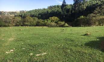 Imagem 4: Belíssimo terrenos de chácaras em Pinhalzinho - SP