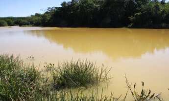 Imagem 1: Sítio de 5 hectares em Curvelo