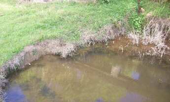 Imagem 4: Faz. Centenária Elô