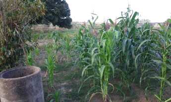 Imagem 5: Terreno de 220 hectares em Curvelo