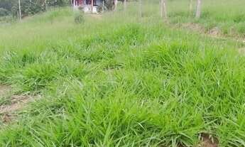 Imagem 4: Sítio Estância Hidromineral de Amparo/SP/BR