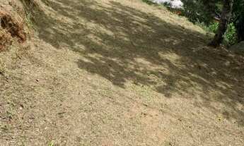 Imagem 4: Lote/Terreno comercial para venda com 372 metros quadrados em Centro - Vargem Grande Pauli