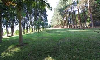 Imagem 5: Sítio com 8 dormitórios à venda, 37000 m² por R$ 1.500.000,00 - Zona Rural - Ibiúna/SP