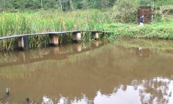 Imagem 5: Chácara de 10 Alqueires