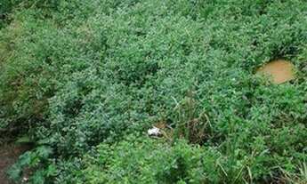 Imagem 3: Terreno à venda, 90 m² por R$ 80.000,00 - Recanto Verde do Sol - São Paulo/SP