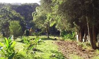 Imagem 6: Fazenda/Sítio/Chácara para venda com 6400 m2 em cocuera