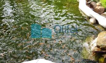 Imagem 3: Chácara - Ville Saint James II - Campo Limpo Paulista