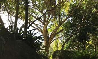 Imagem 6: Terreno vista mar - Veloso -Ilhabela