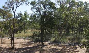 Imagem 5: Terreno de 25 hectares em Curvelo