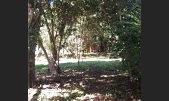 Imagem 2: Chácara em Mairiporã - 7.200 m2 - Área com Piscina e muito verde