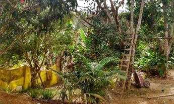 Imagem: Chácara com 3 dormitórios à venda, 500