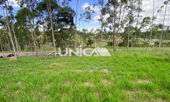 Imagem 6: CAMPOS CONDE TAUBATÉ