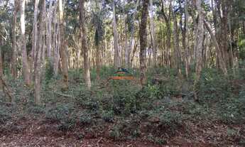 Imagem 2: COTIA - Terreno Padrão - TIJUCO PRETO