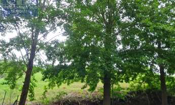 Imagem 3: TERRENO EM CONDOMÍNIO RESIDENCIAL em JUNDIAÍ - SP, Caxambú