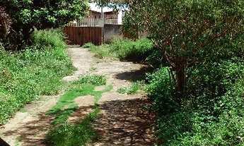 Imagem 3: ÁREA COMERCIAL em SAO JOSE DO RIO PRETO - SP, ANCHIETA