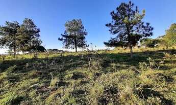 Imagem 2: Vendo área frente para Raposo Tavares Itapetininga SP