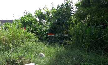 Imagem 3: Terreno à venda, 500 m² por R$ 300.000,00 - Golfinho - Caraguatatuba/SP