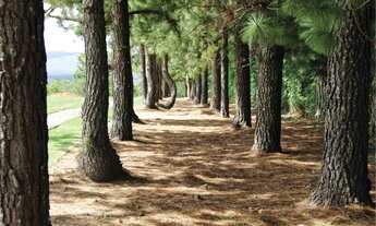 Imagem 4: Imóvel para venda tem 2700 metros quadrados em - Chapada dos Guimarães