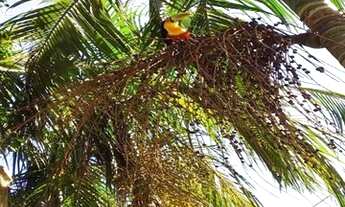 Imagem 7: CHACARASÃO ROQUE